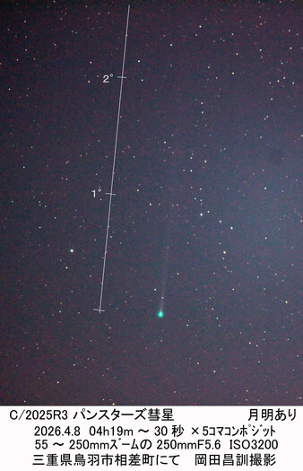 パンスターズ彗星撮りました